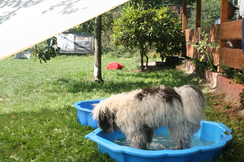 ../Images/Bild-01 008.jpg